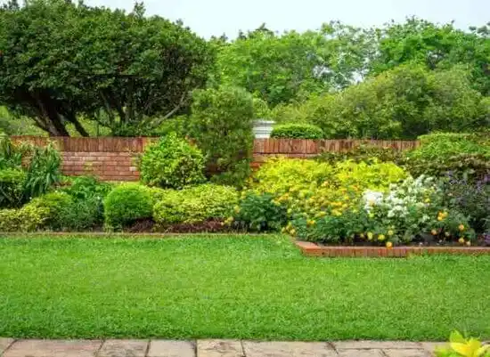 landscaping services El Cerro